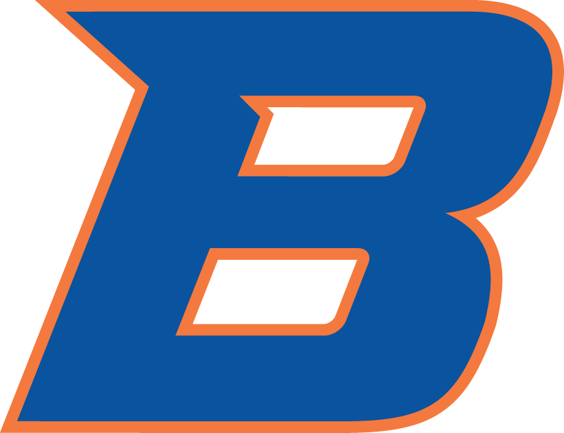 Boise State Broncos 2013-Pres Secondary Logo DIY iron on transfer (heat transfer)